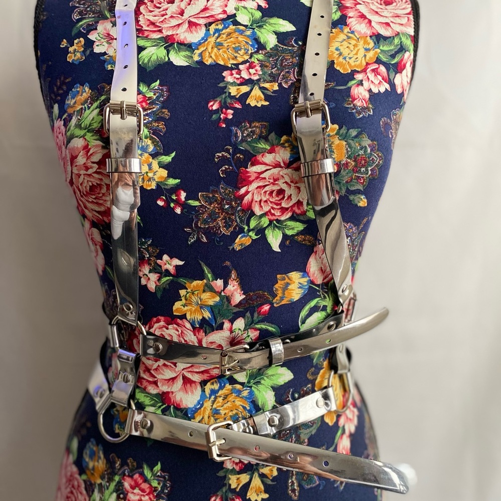 Metallic Harness - Picture 2 of 3